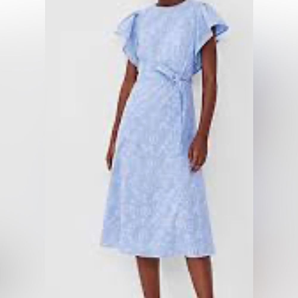 Ann Taylor serenity eyelet midi dress nwt - Picture 3 of 5